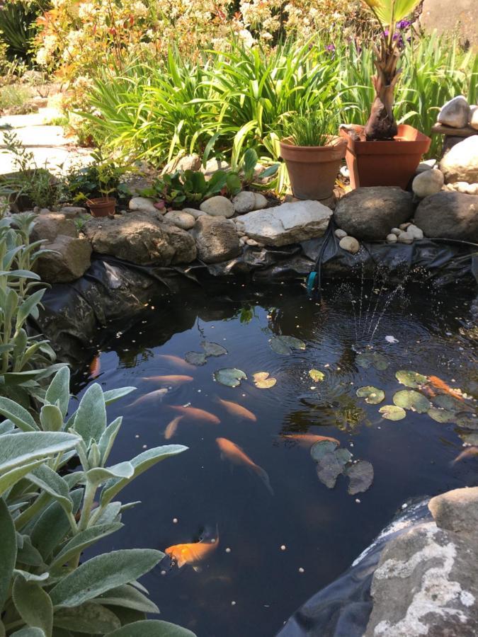 Garden Annexe 2 Casa vacanze Villeneuve-Loubet