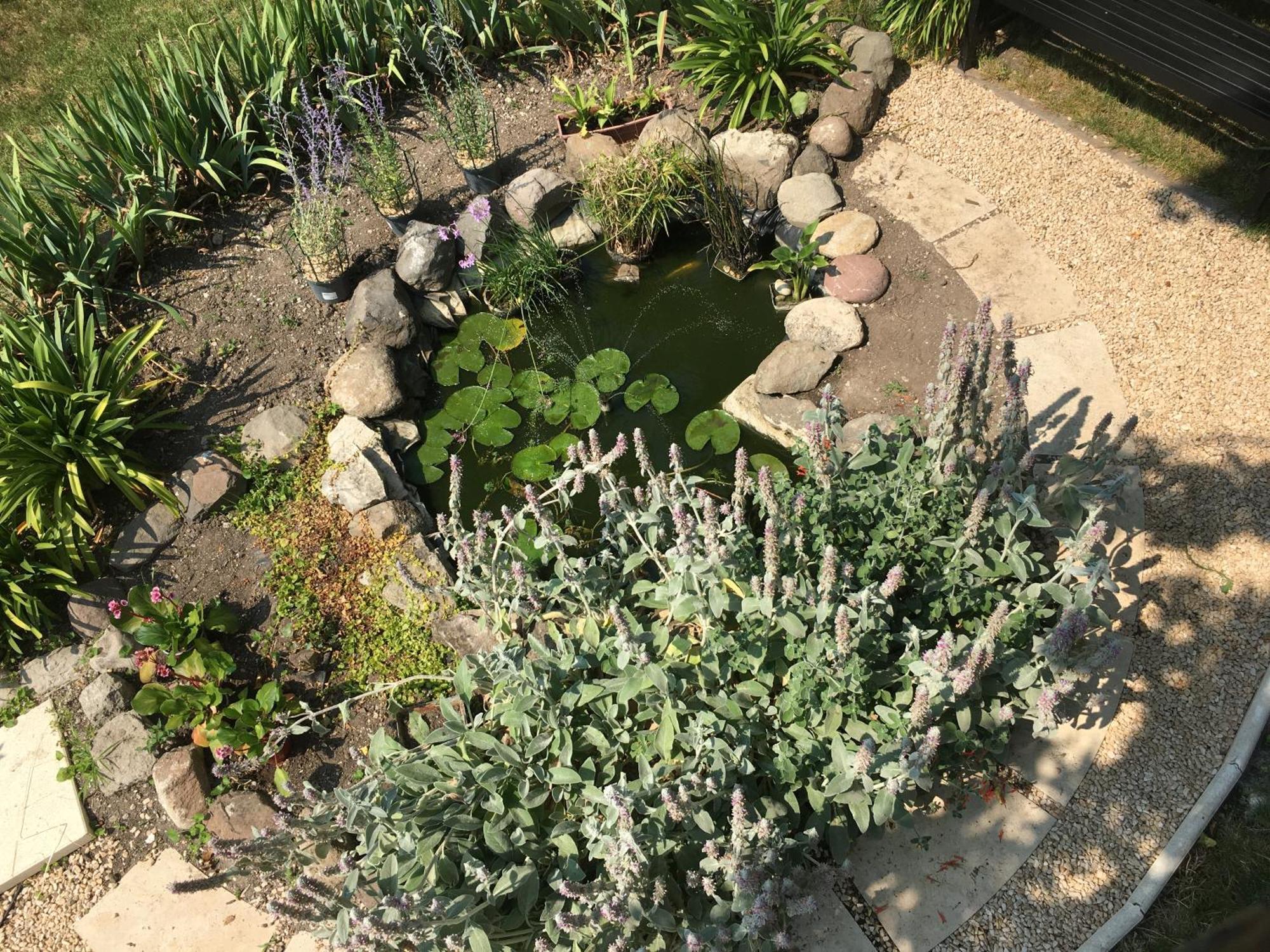 Garden Annexe 2 * Villeneuve-Loubet